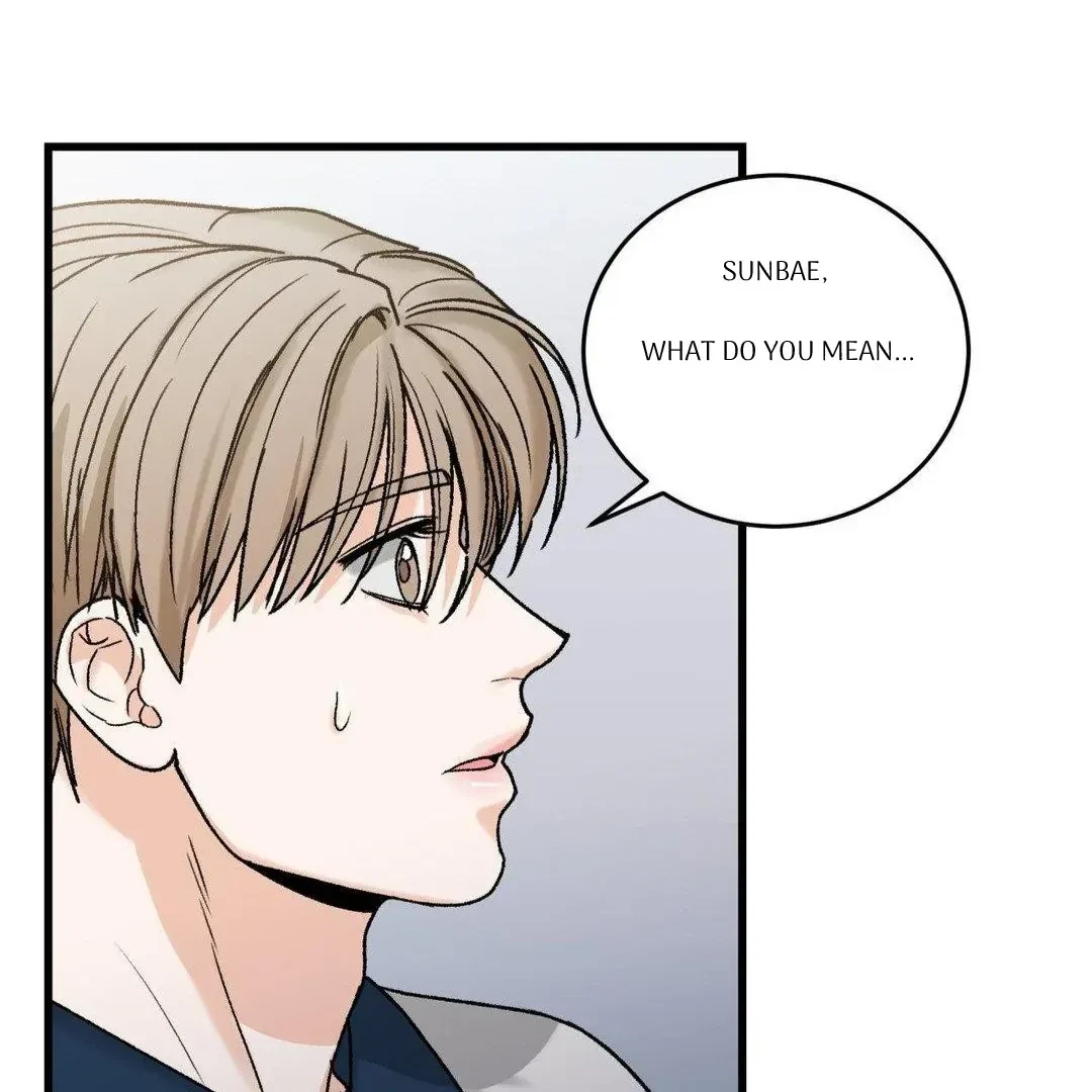 Chapter 17, page 102