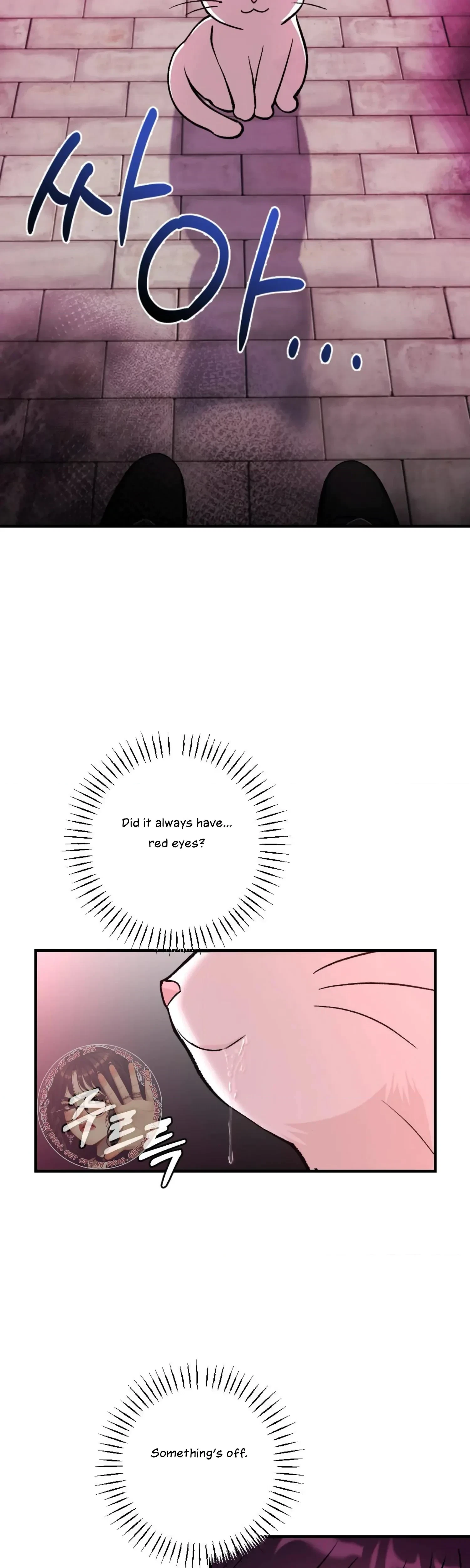 Chapter 5, page 41