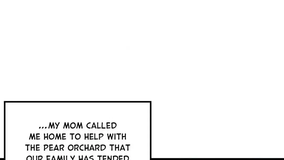 When Pear Blossoms Bloom Chapter 1, page 12