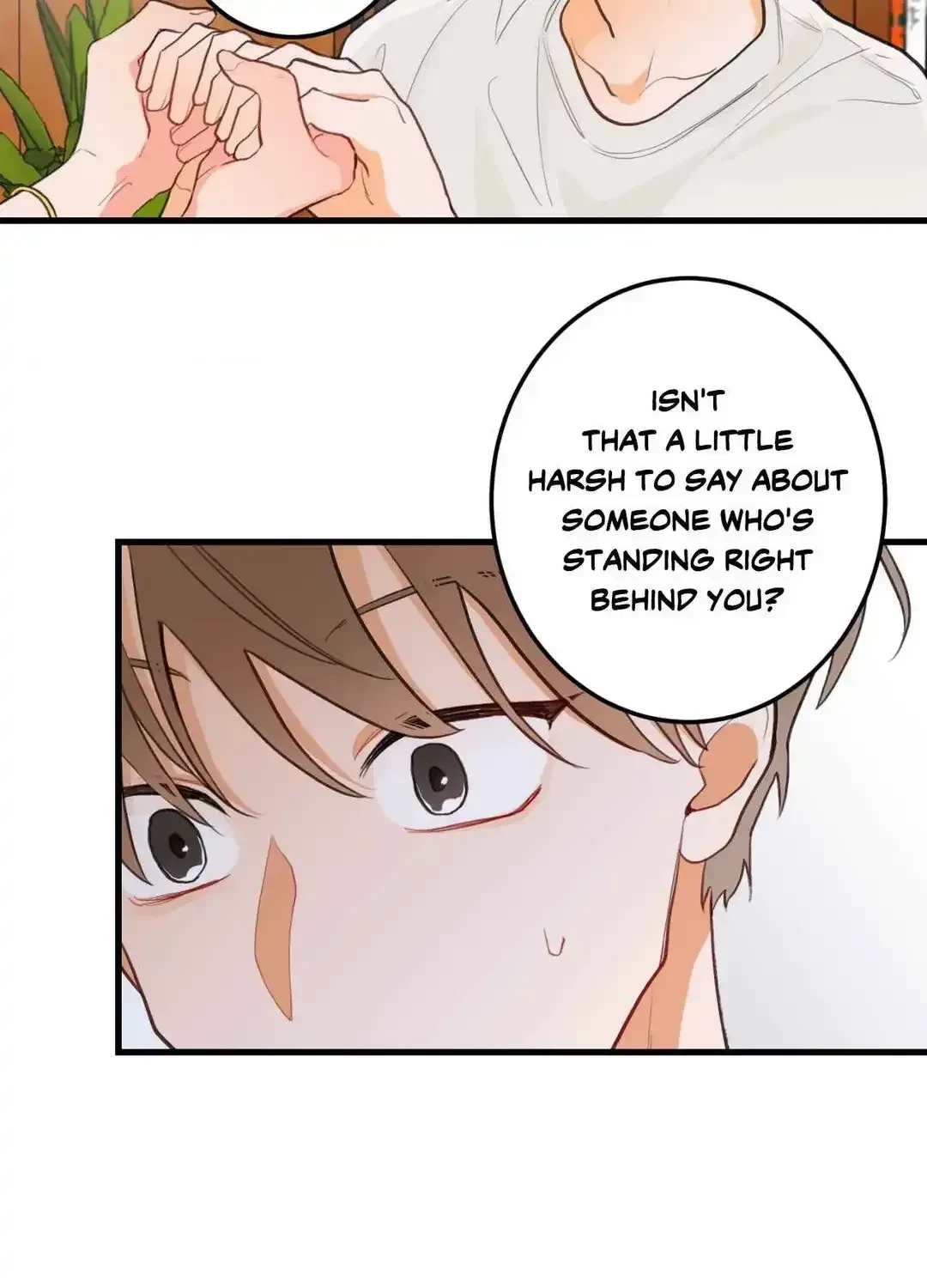 When Pear Blossoms Bloom Chapter 1, page 73