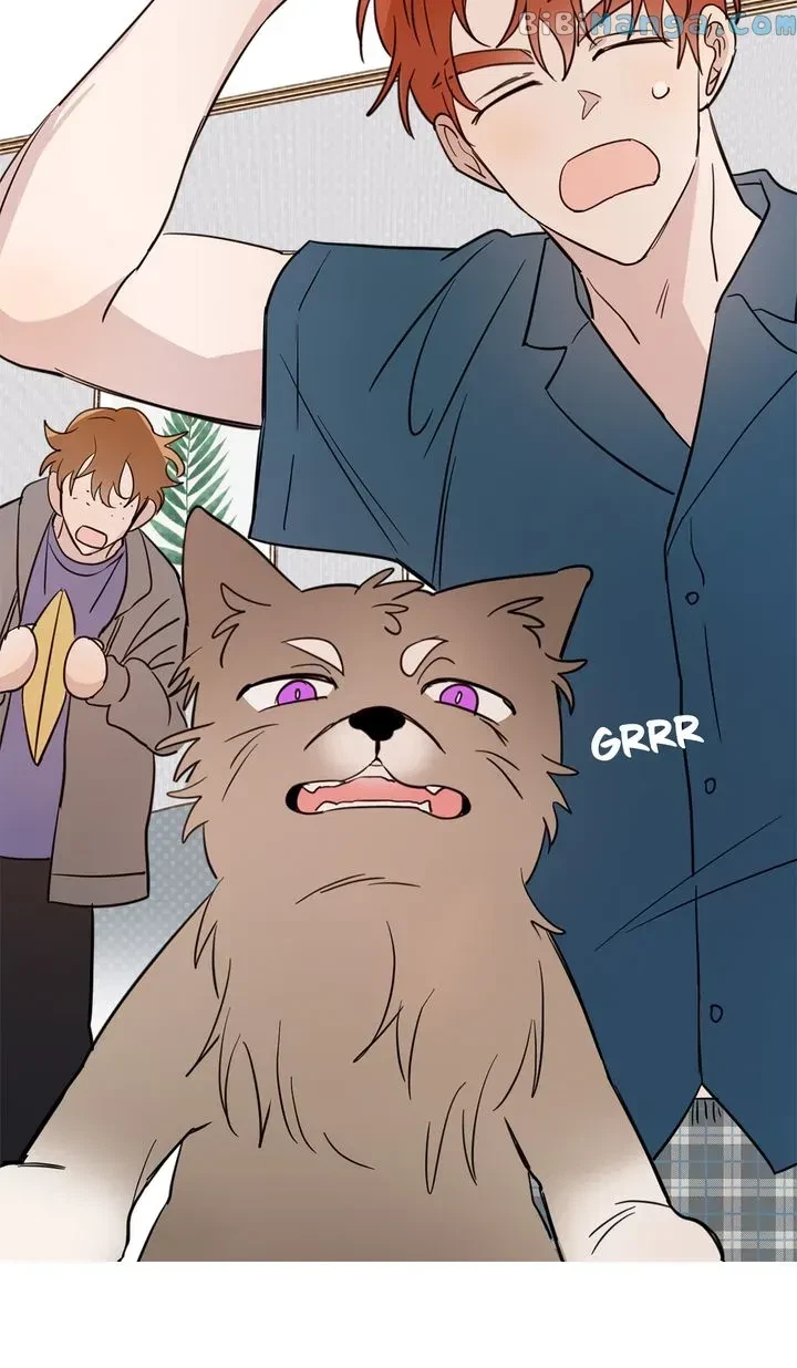 Chapter 31, page 63