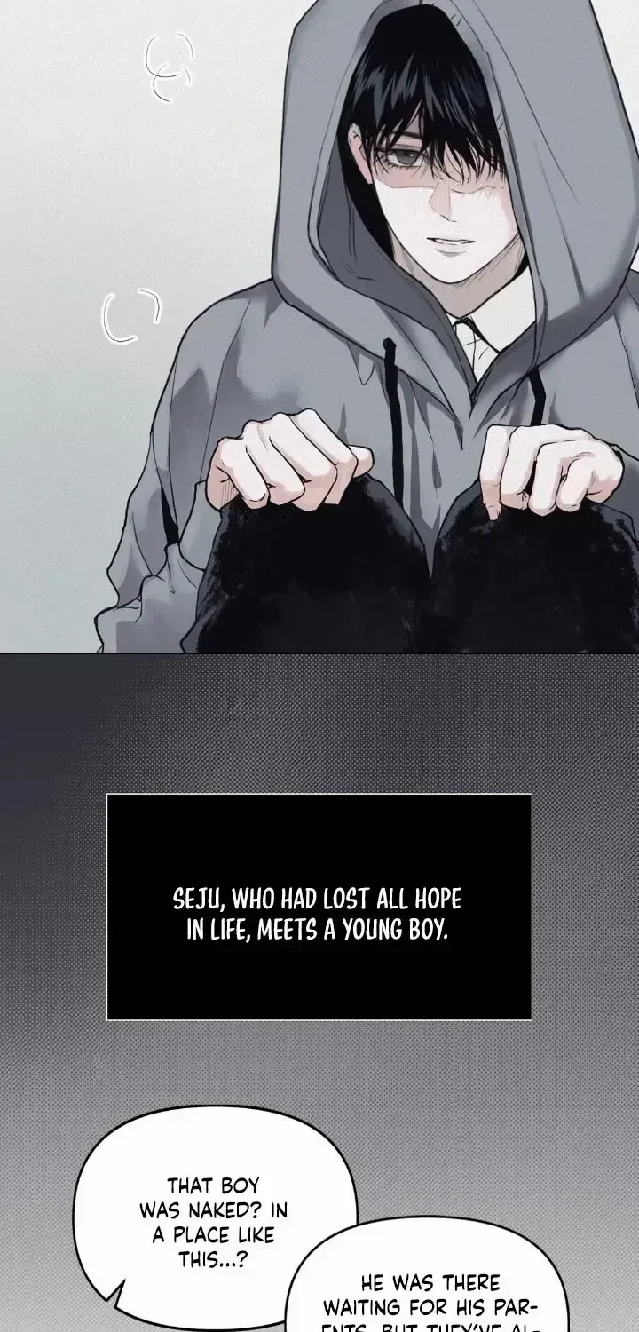 Chapter 1.7, page 8