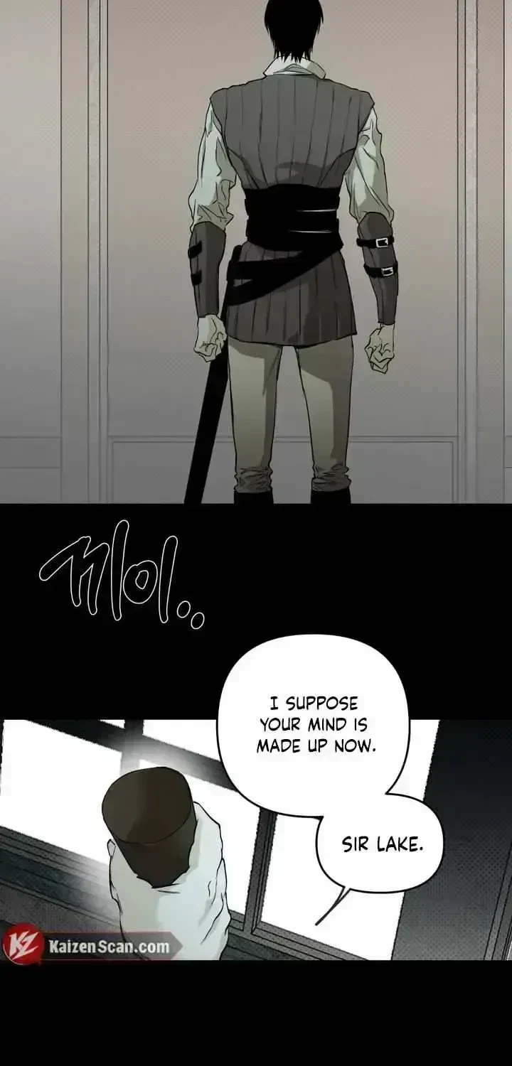 Chapter 1.6, page 50