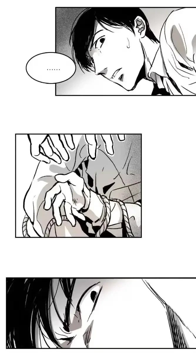 Chapter 2, page 19