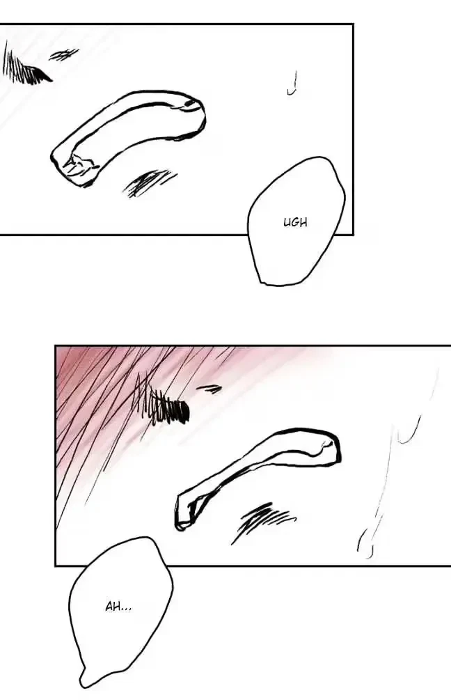 Chapter 2, page 29