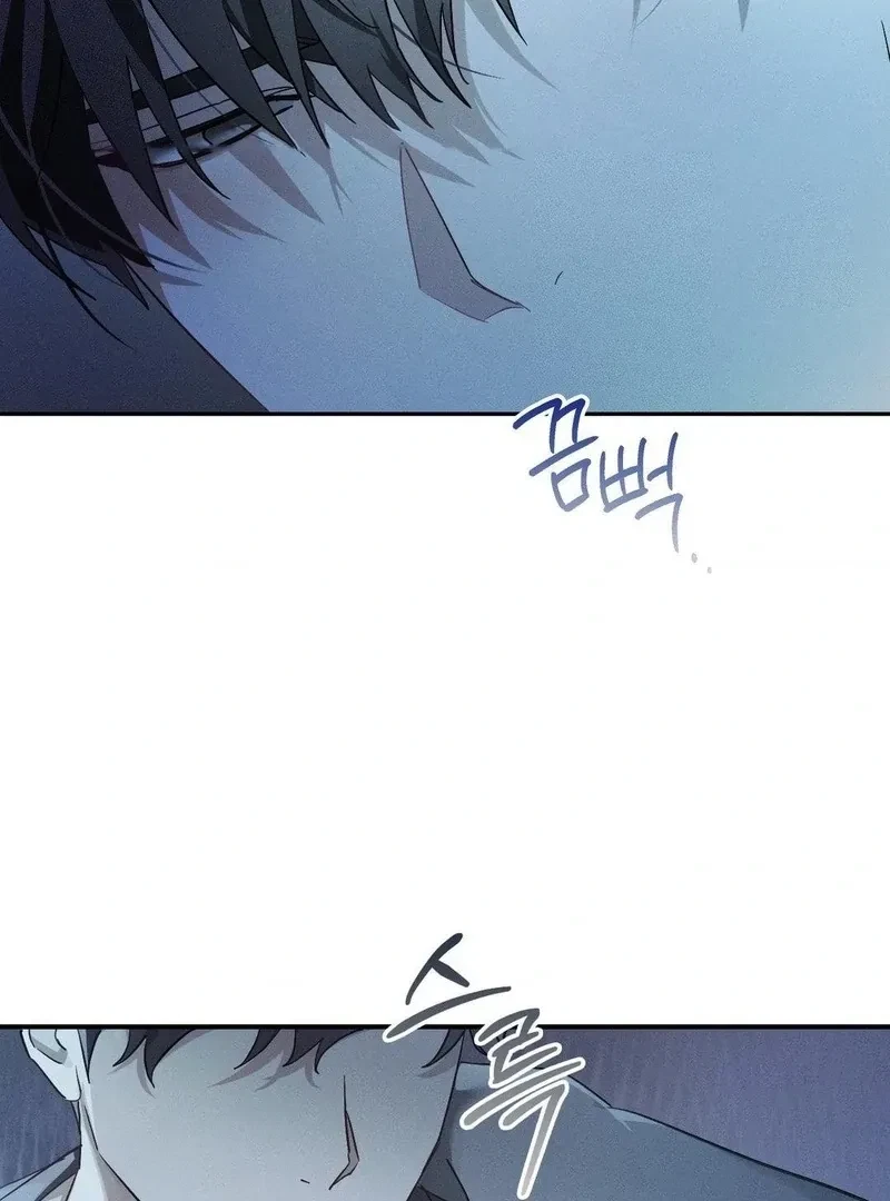 Chapter 8, page 101