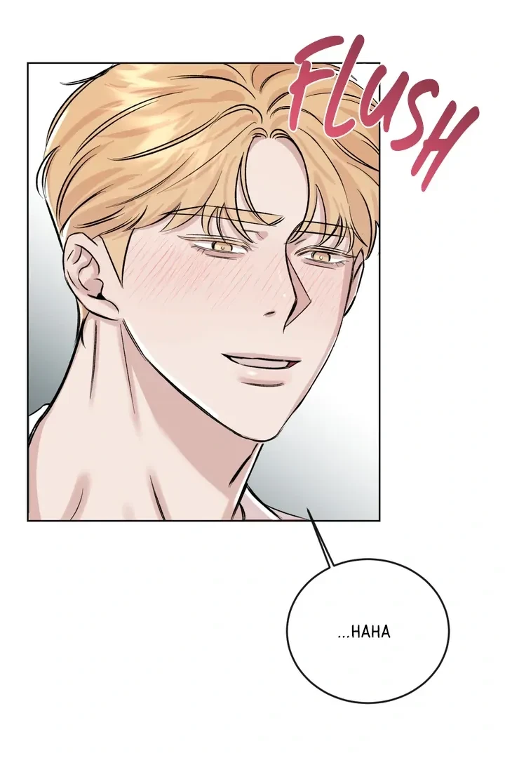 Chapter 4, page 66