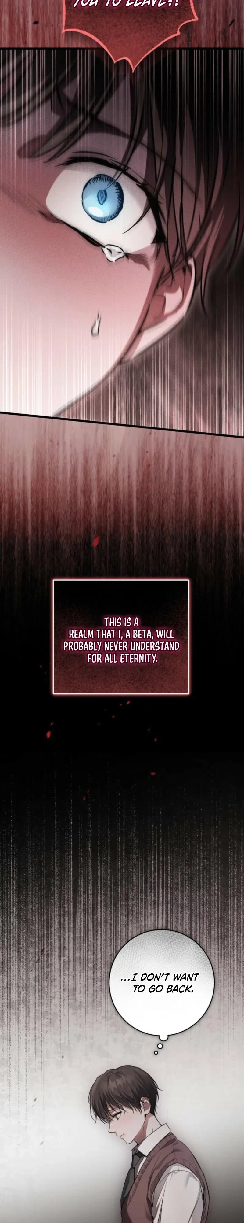 Chapter 2, page 17