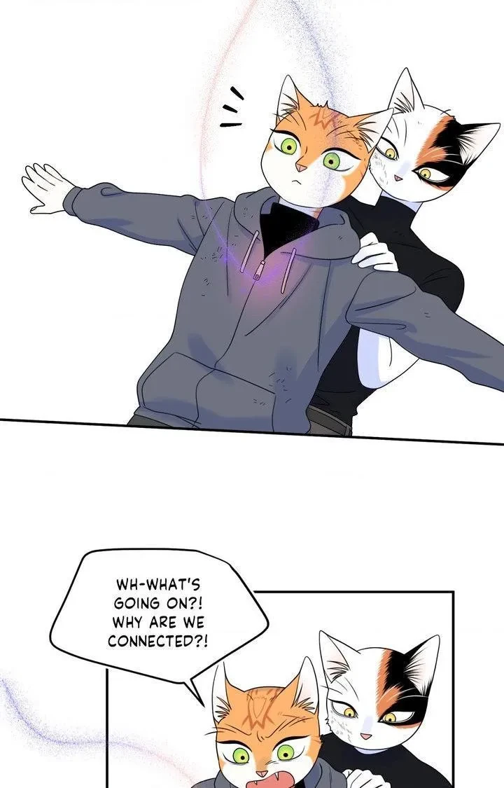 Chapter 98, page 105