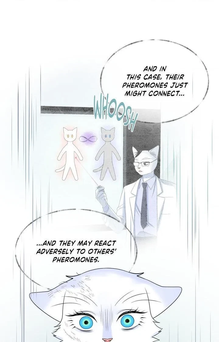Chapter 98, page 107