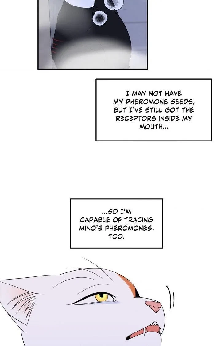 Chapter 98, page 25