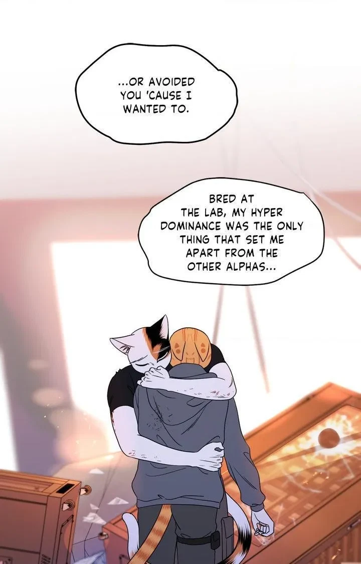 Chapter 98, page 41