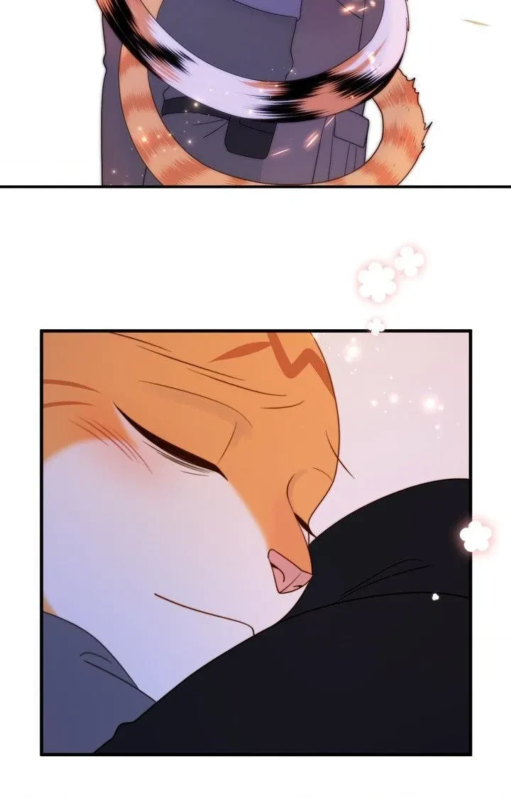 Chapter 98, page 51