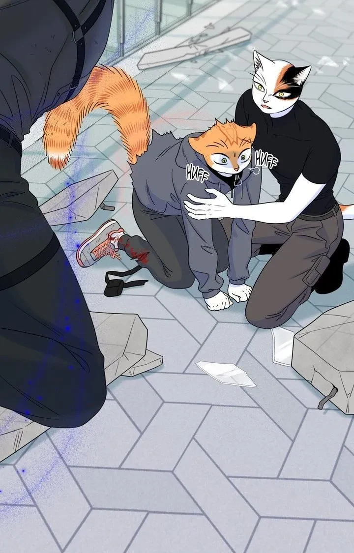 Chapter 98, page 69