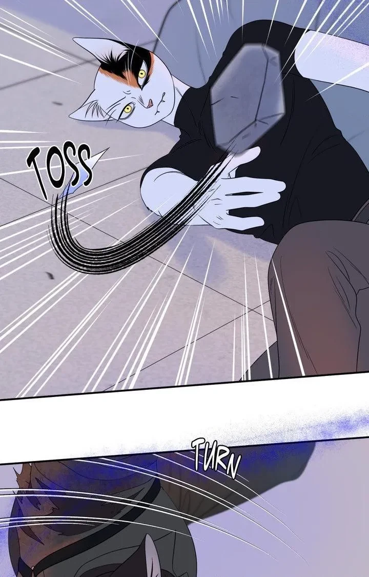Chapter 98, page 7