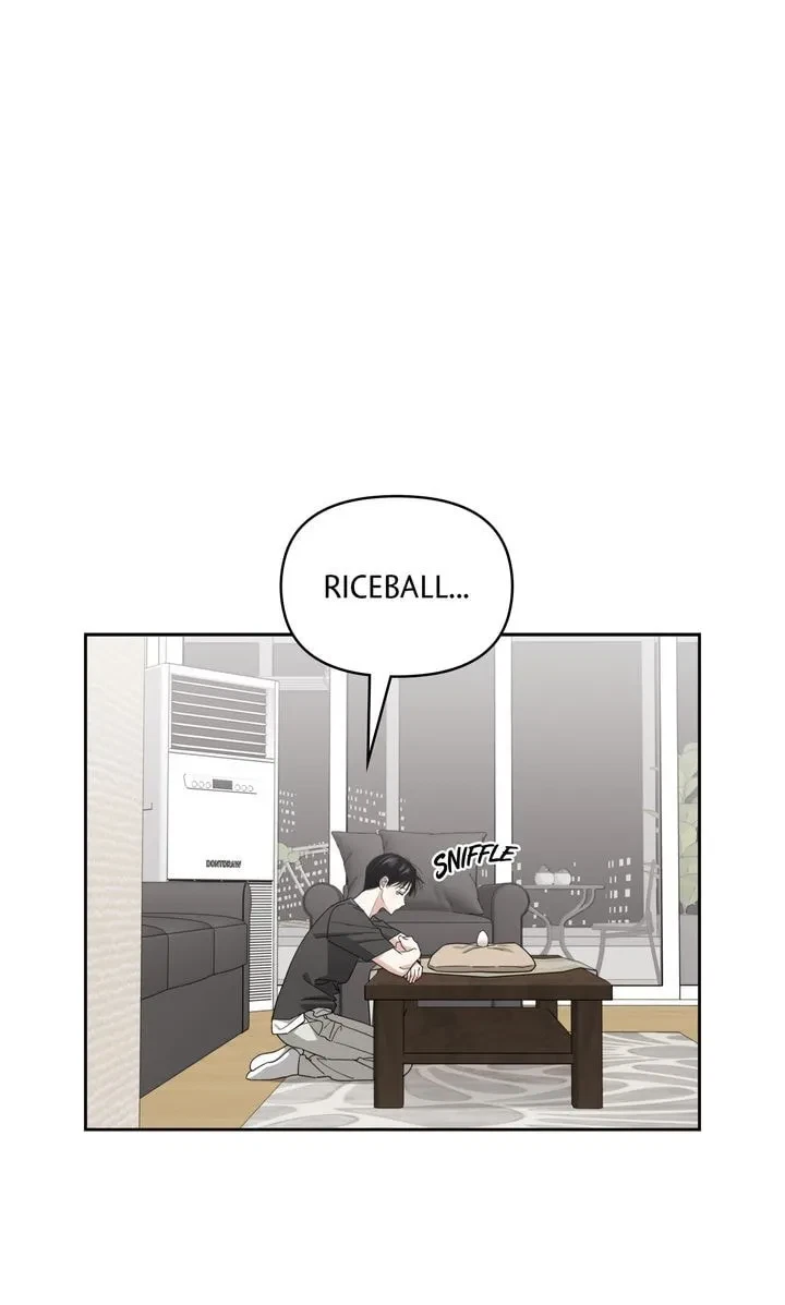 Chapter 37, page 8