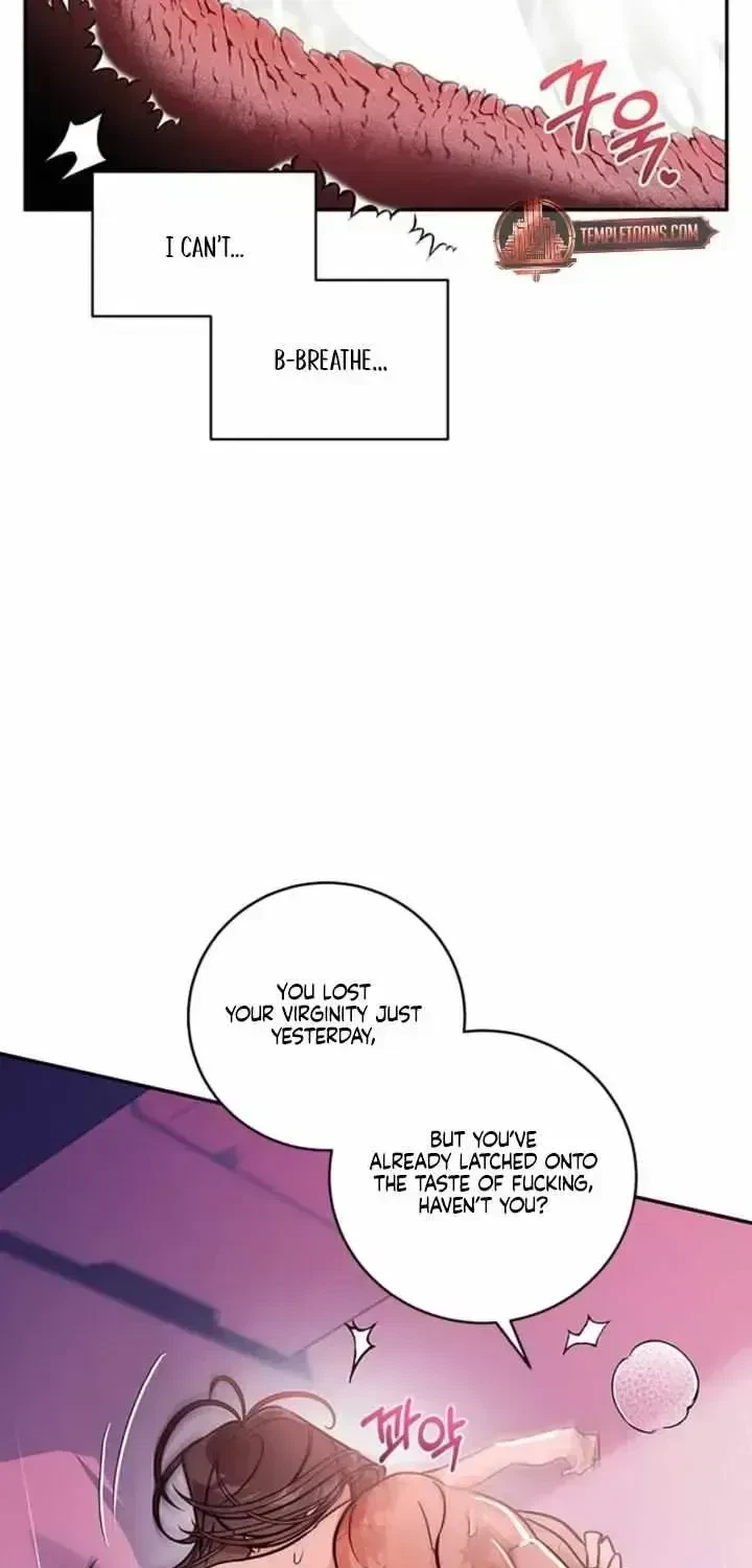 Chapter 1.3, page 20