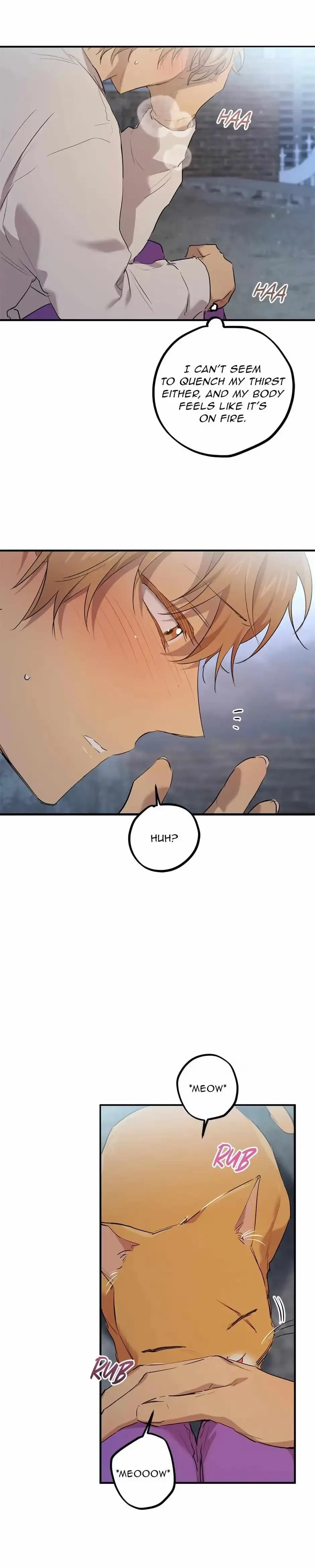 Chapter 22, page 31