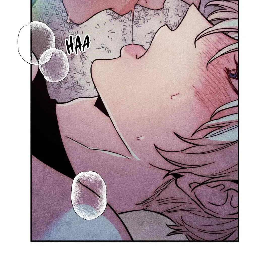 Side.3, page 55