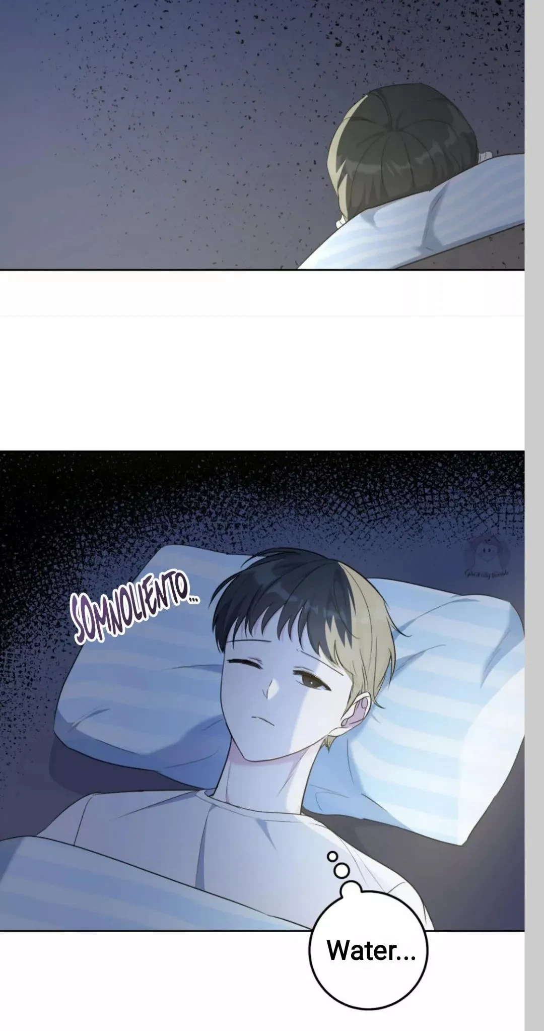 Chapter 2, page 21