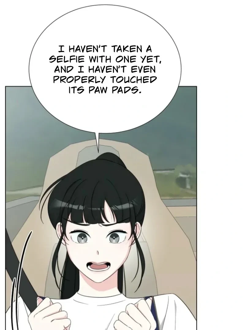 Chapter 4, page 71