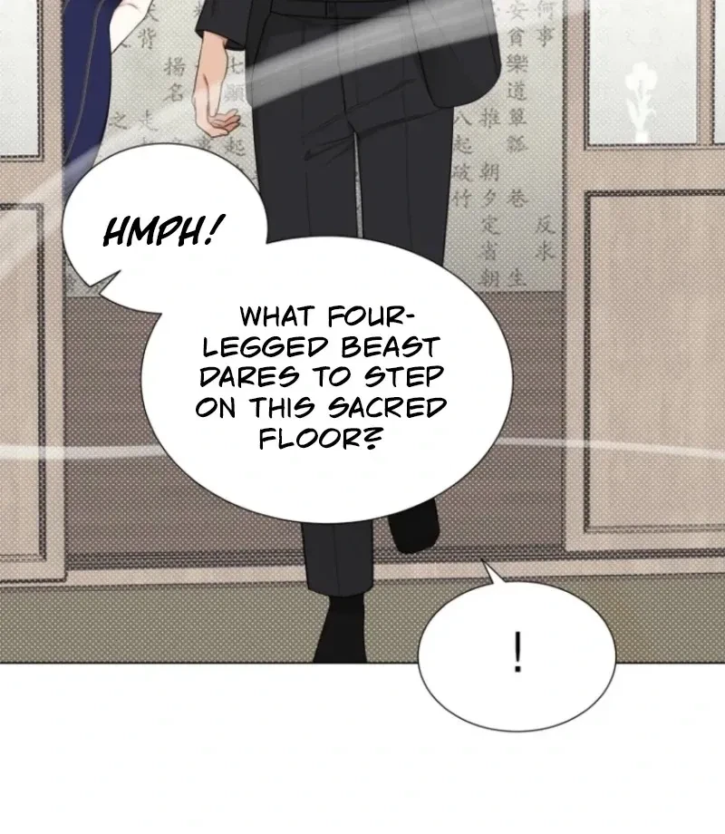 Chapter 4, page 82