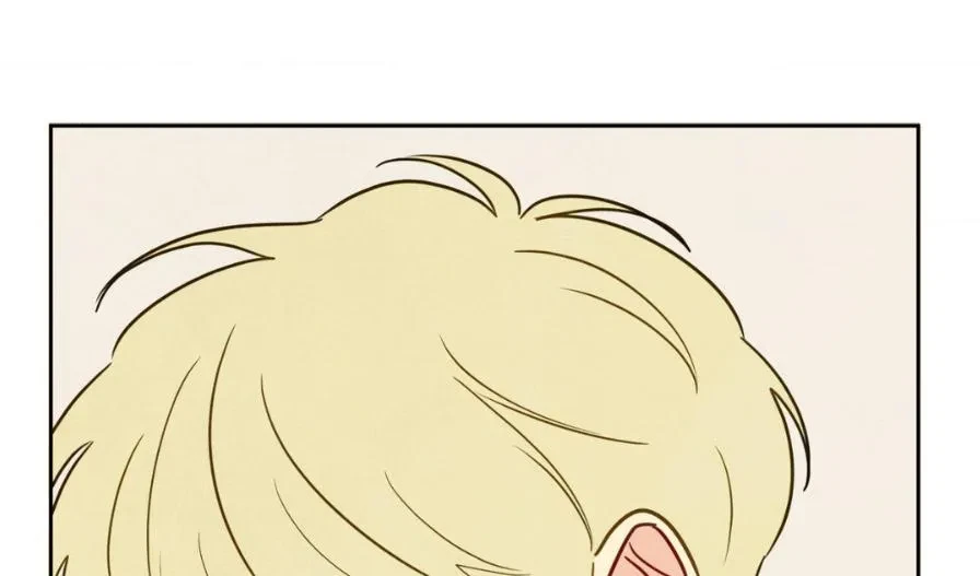 Chapter 4, page 141