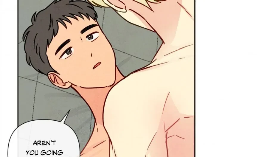Chapter 4, page 52