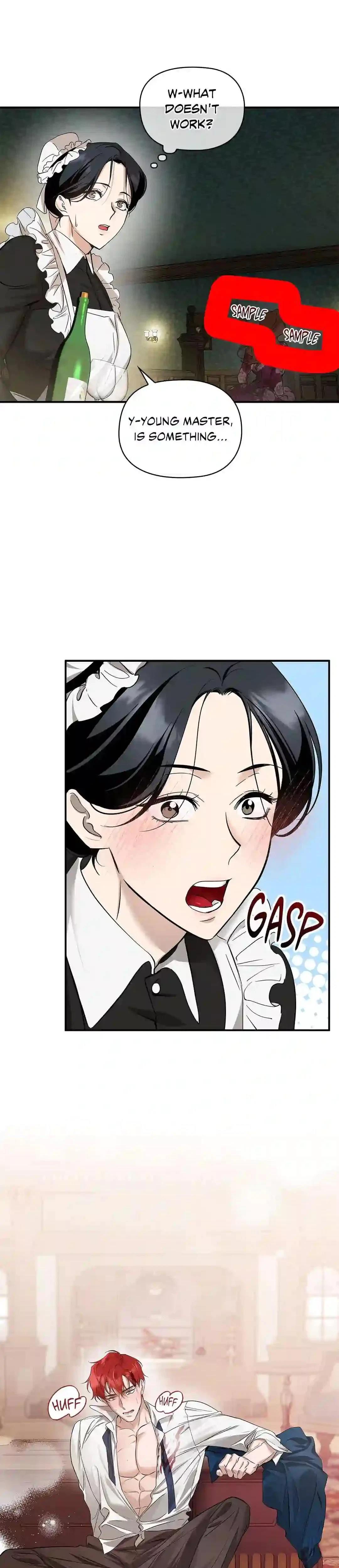 A Maid's Playful Duties Chapter 1, page 18
