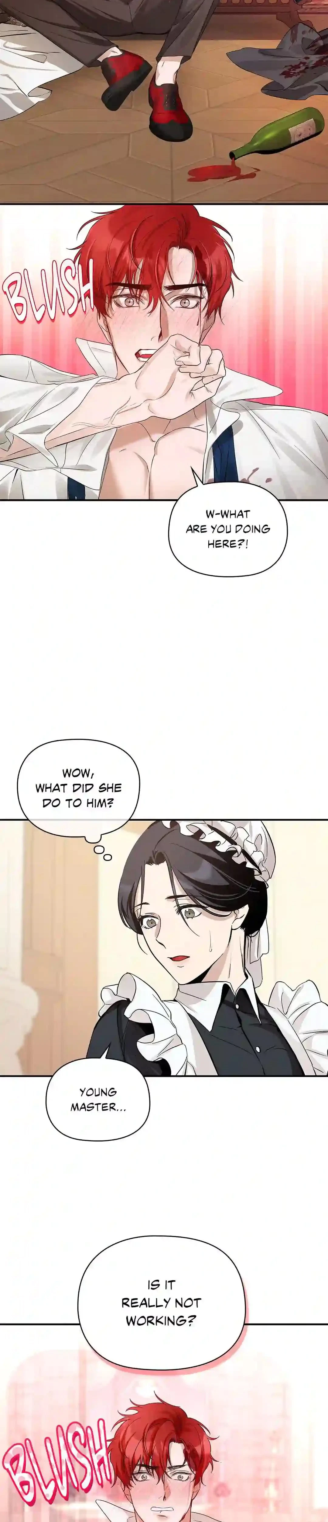 A Maid's Playful Duties Chapter 1, page 19