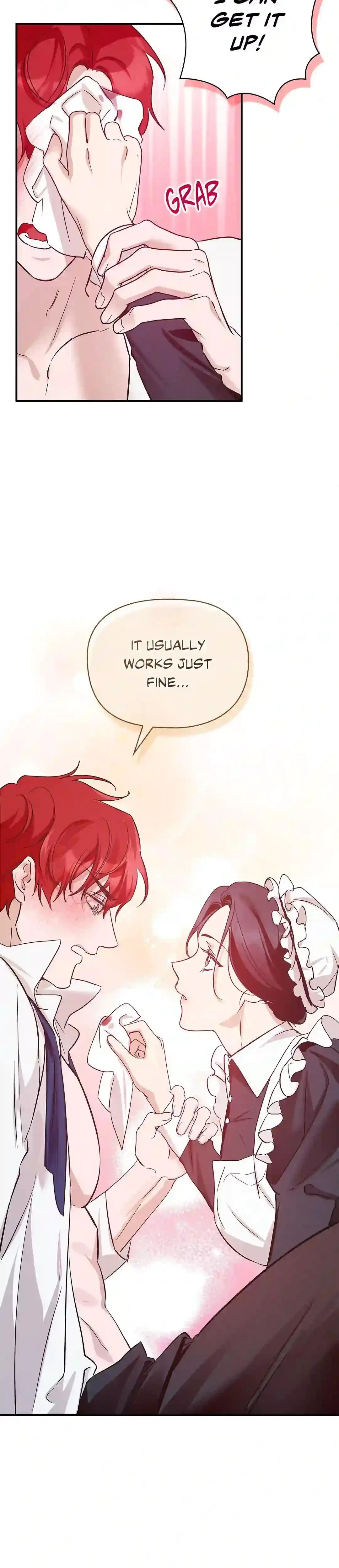 A Maid's Playful Duties Chapter 1, page 21