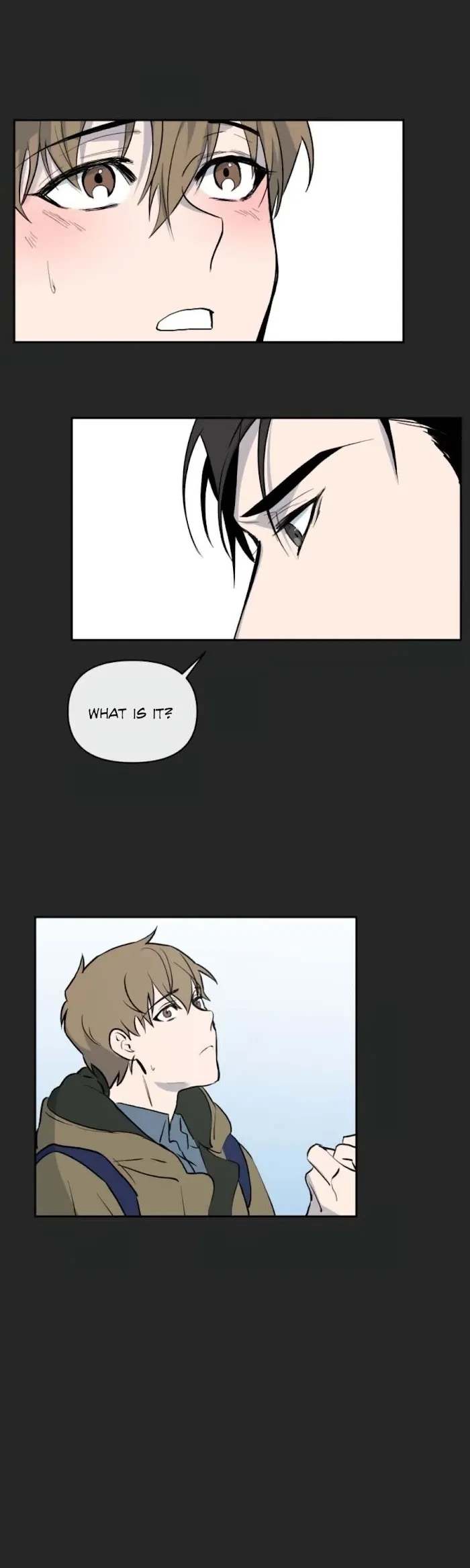 XX Partner Chapter 11, page 13