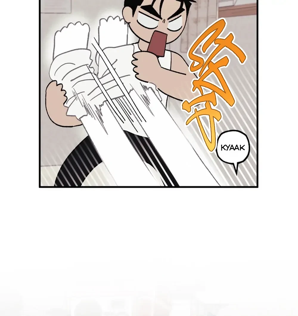 Chapter 2, page 13