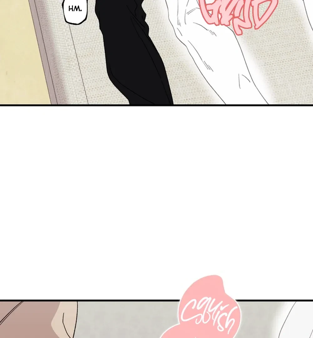 Chapter 2, page 31