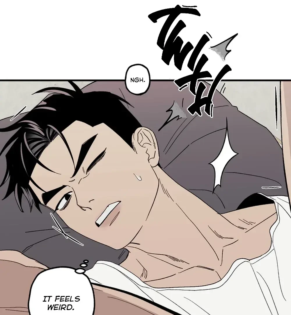Chapter 2, page 51
