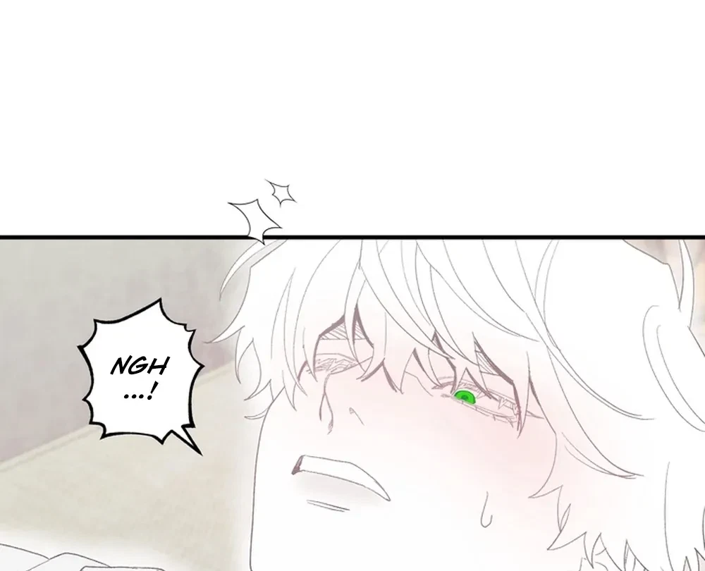 Chapter 2, page 74