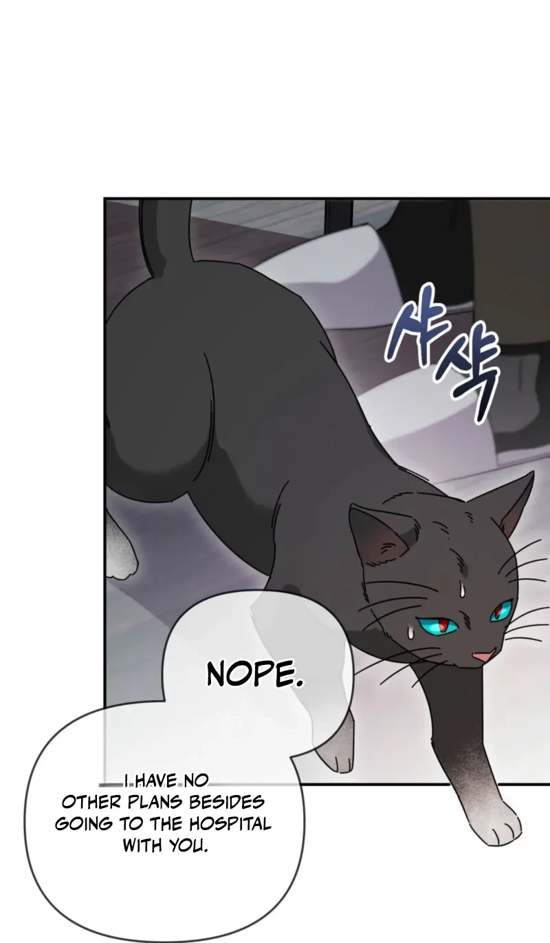 Chapter 4, page 27