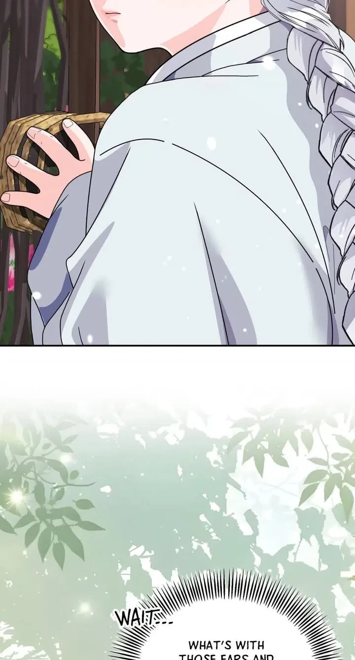 Chapter 40.5, page 26
