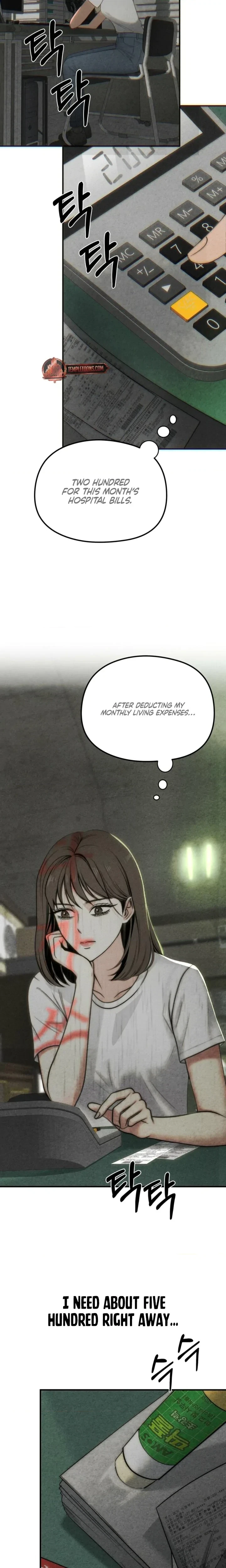 Chapter 1, page 13