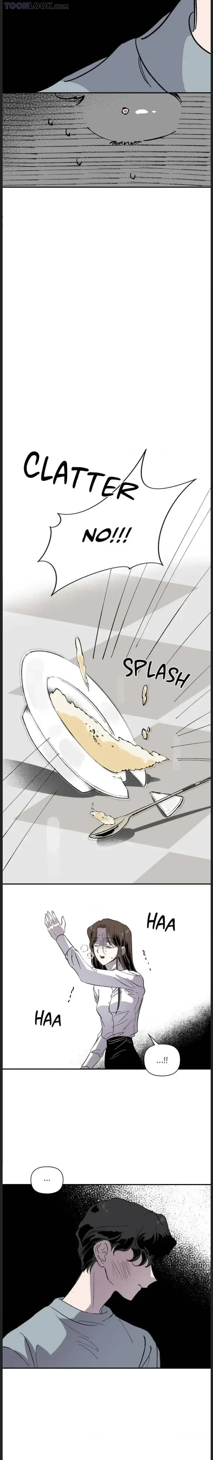 Chapter 1, page 13