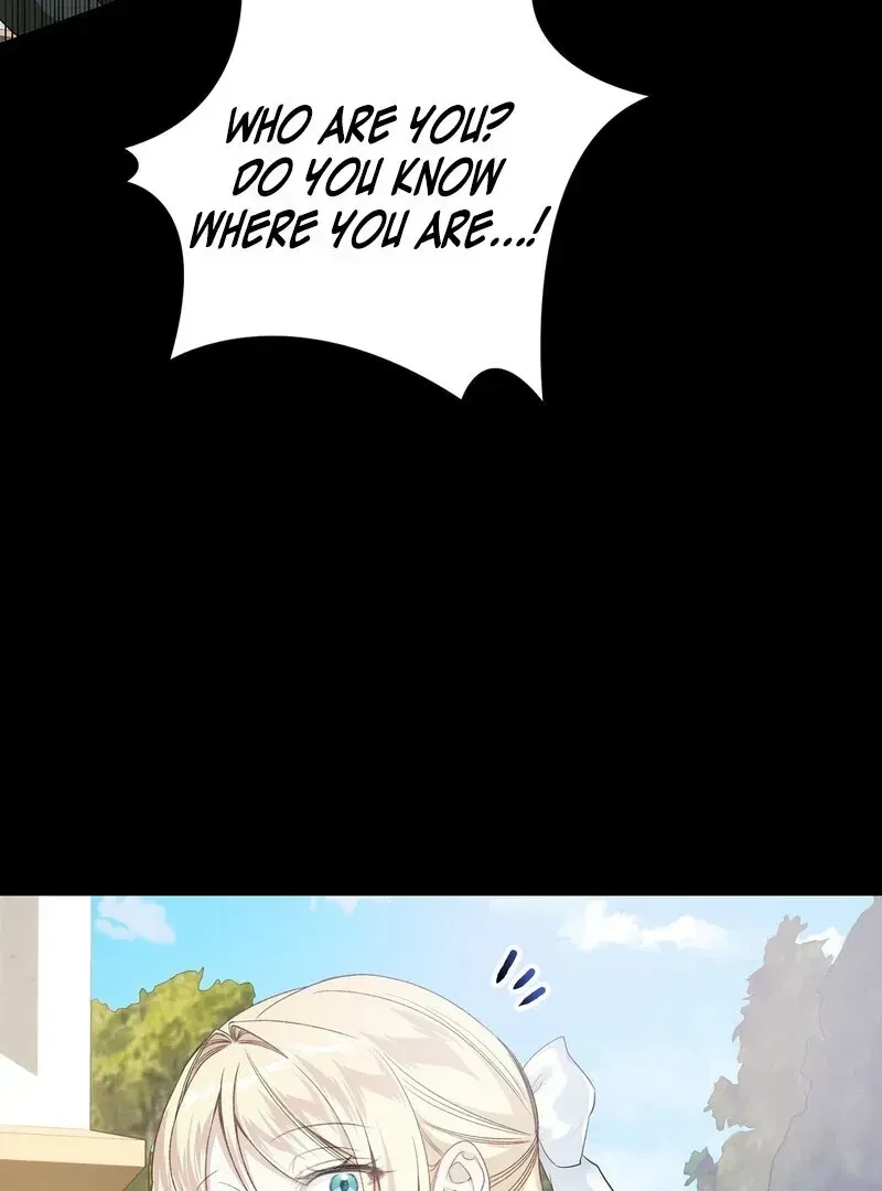 Chapter 1.1, page 28