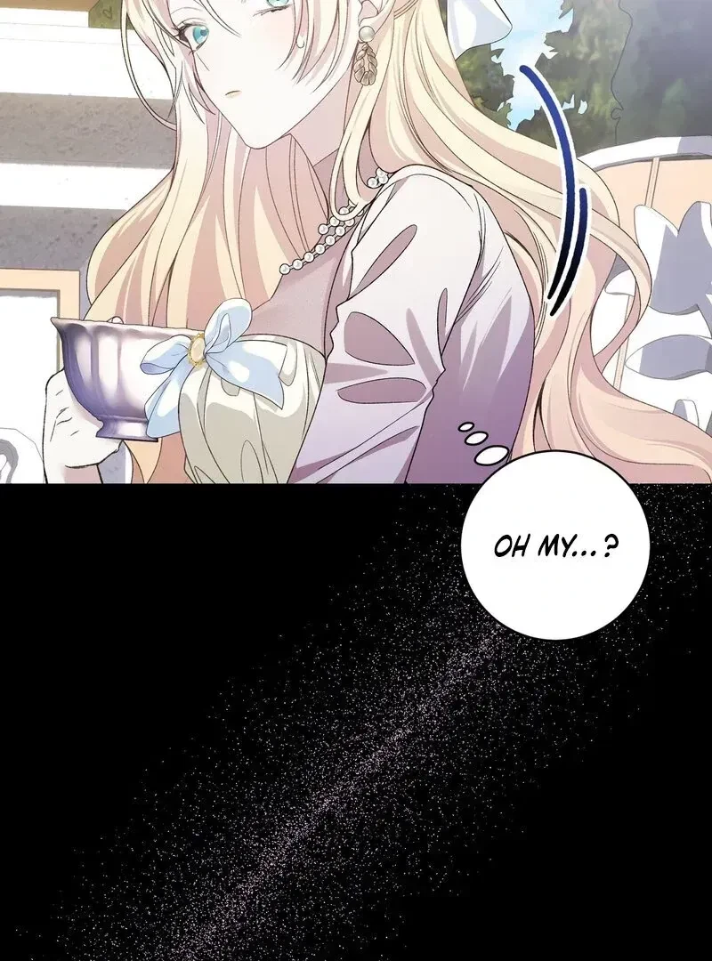 Chapter 1.1, page 29