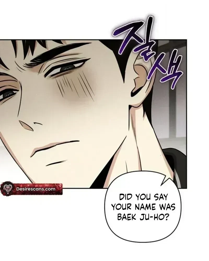 Chapter 2.5, page 48