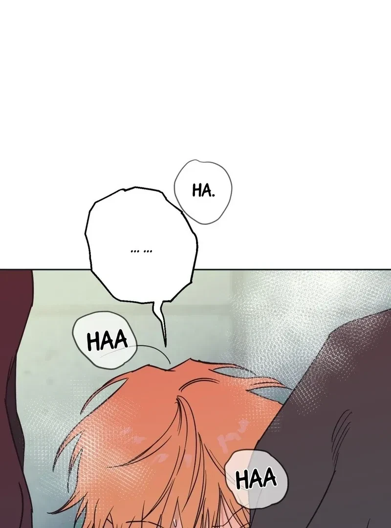 Chapter 5, page 138