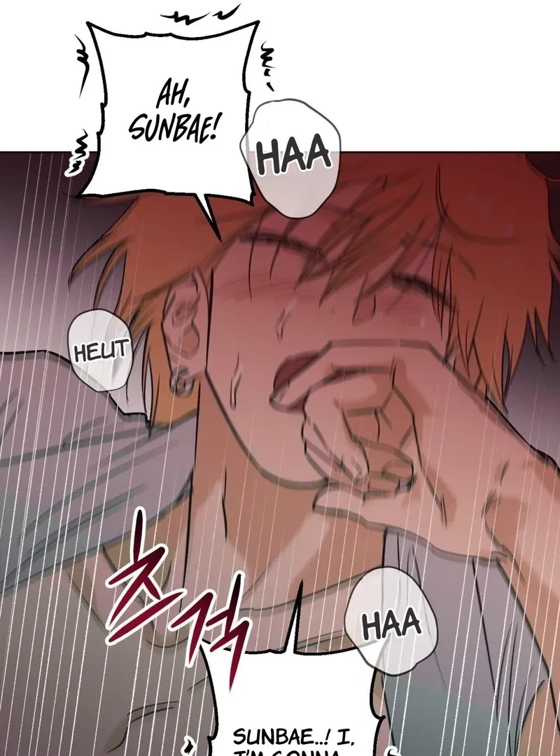 Chapter 5, page 97