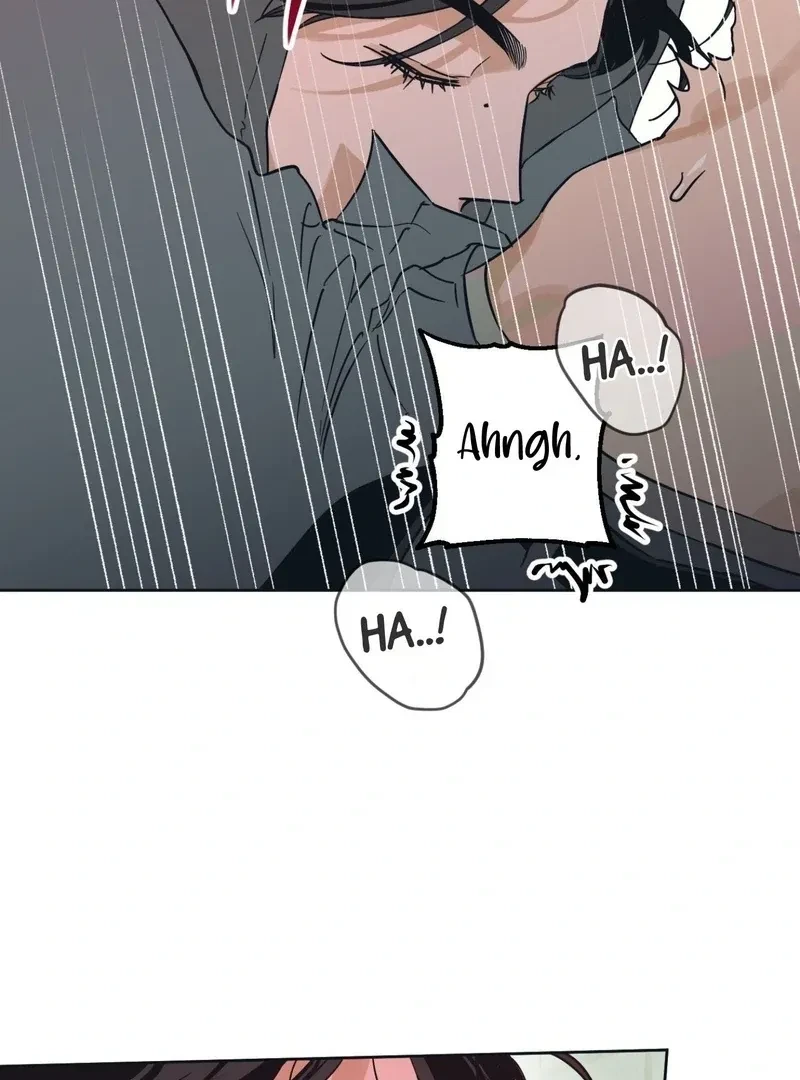 Chapter 5, page 99