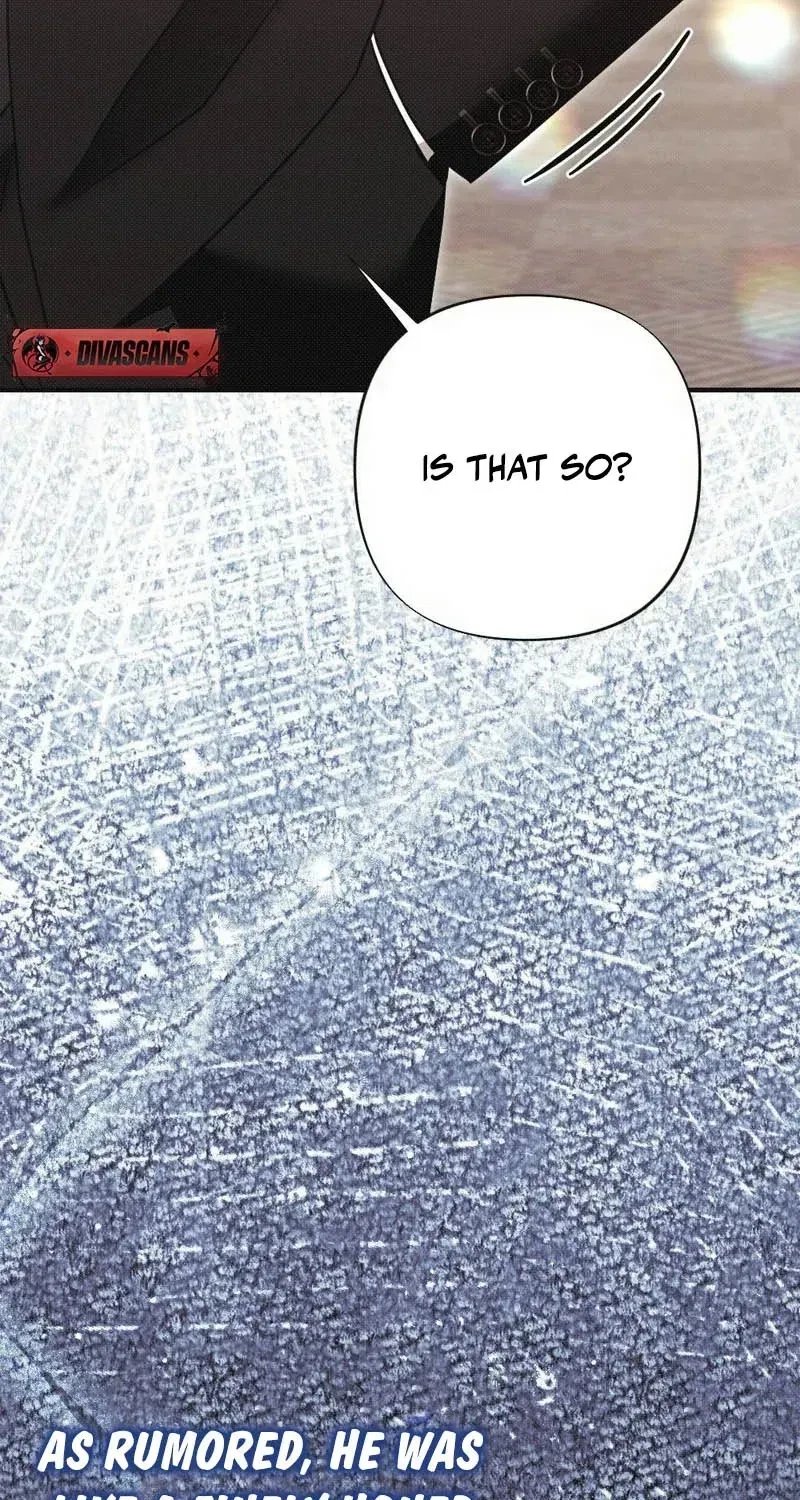 Chapter 3, page 63
