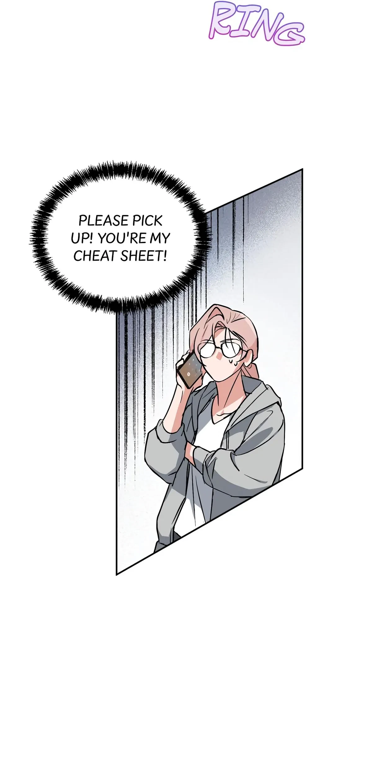 Chapter 1, page 13