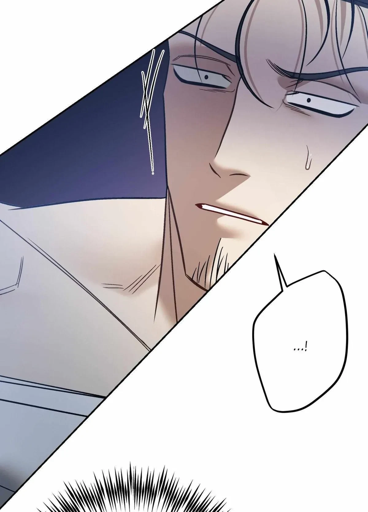 Side. : 2, page 100