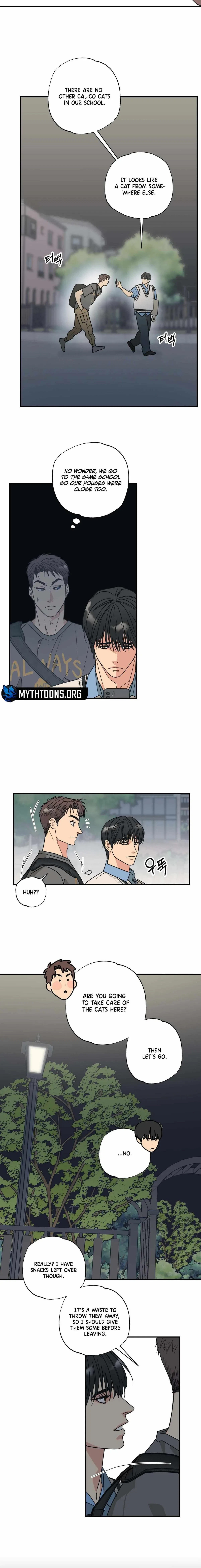 Chapter 5, page 11